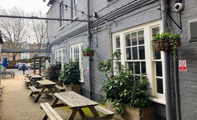 The Swan Alton